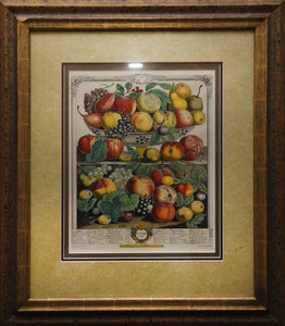 A September Harvest: Botanical Etching, circa 1732