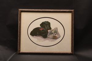 First Retrieve (Jack Schroeder)