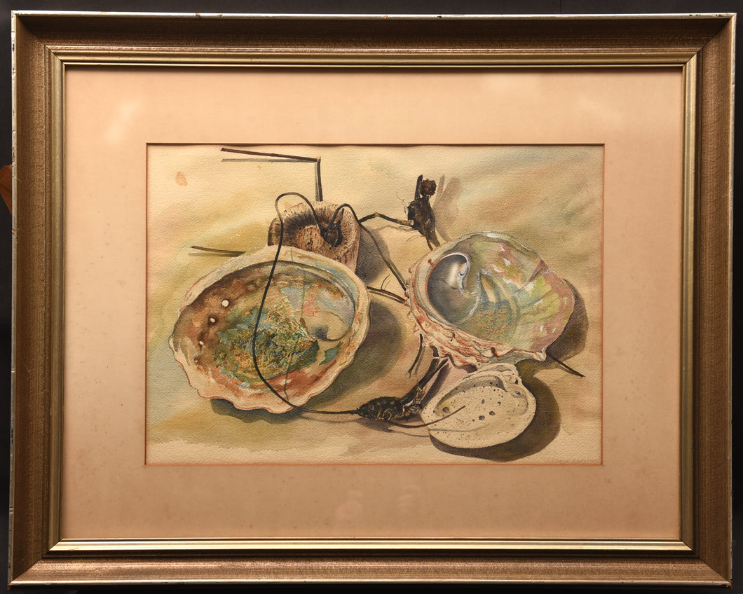 Seashell Still Life