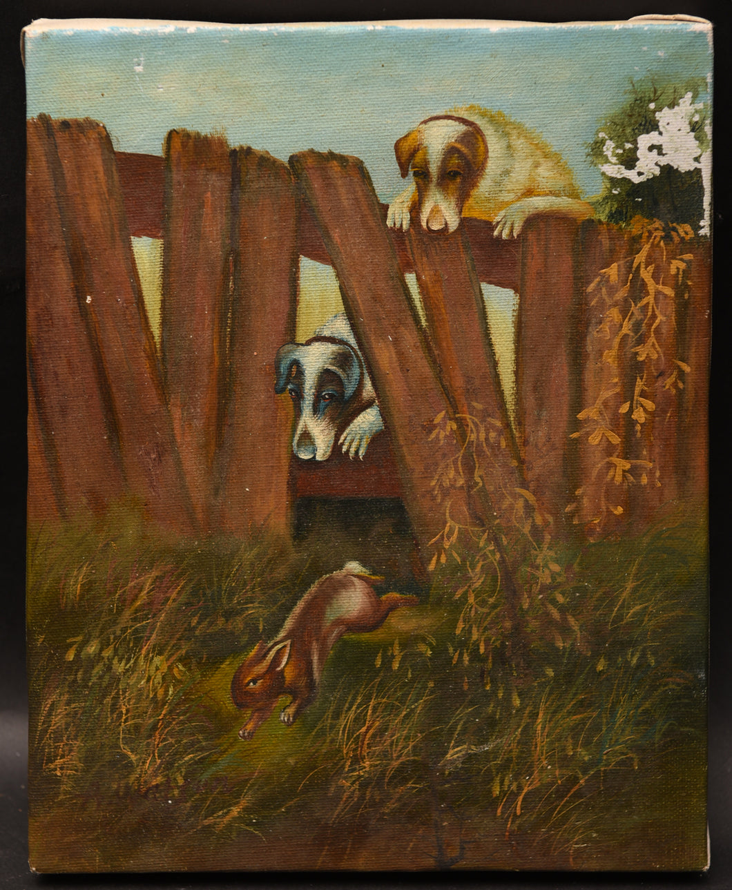 Curious Canines