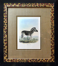 Load image into Gallery viewer, Zebra
