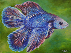 Purple Betafish
