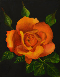 Orange Rose