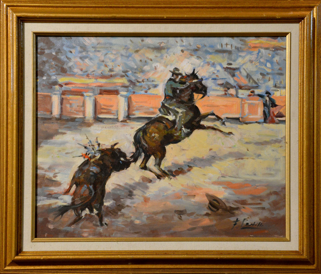 Bull Fight
