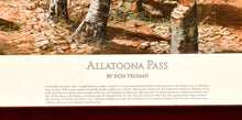 Load image into Gallery viewer, Allatoona Pass, Civil War