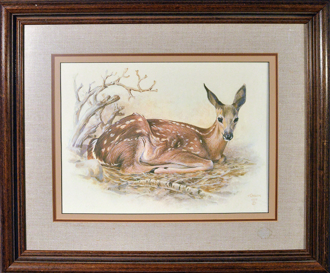 Portrait of Deer