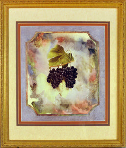 Black Grape with watercolor Background