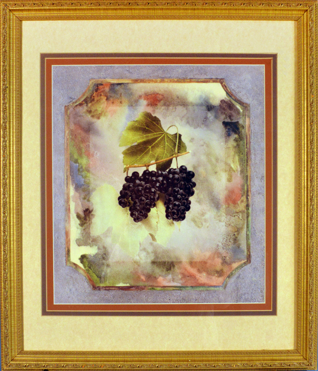 Black Grape with watercolor Background