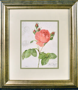 Red Rose