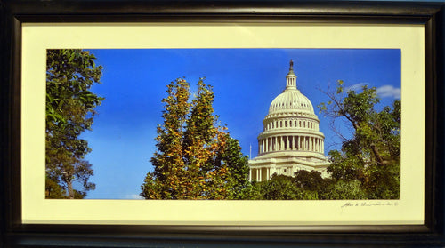 United States Capitol and Trees from National Botanic