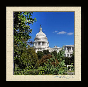The United States Capitol From the Botanic Garden