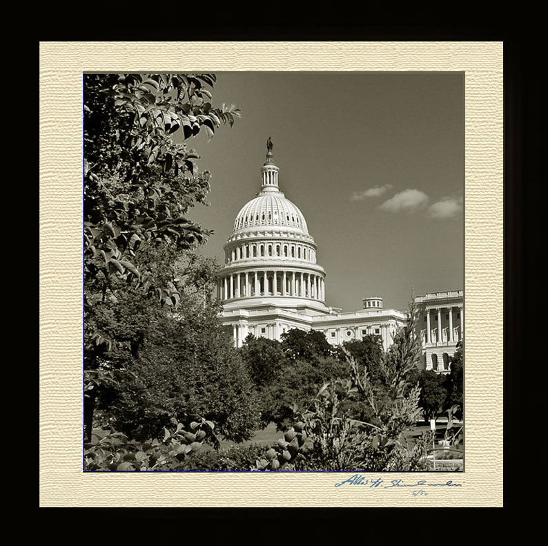 The United States Capitol From Botanic Garden