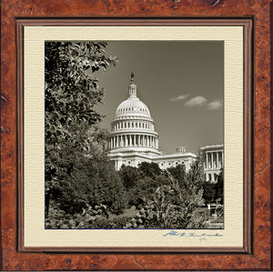 The United States Capitol From Botanic Garden