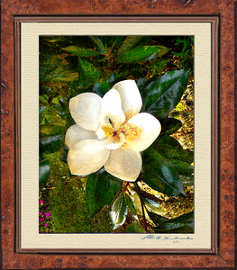 The Smiling Magnolia