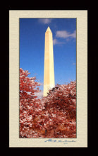 Load image into Gallery viewer, The Washington Monument During Cherry Blossom Festival