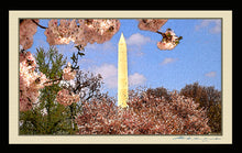 Load image into Gallery viewer, The Washington D.C. Cherry Blossom